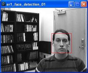 Face Detection Example